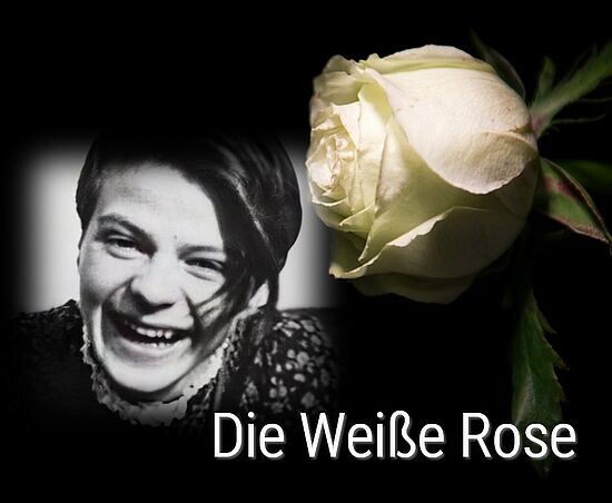 Die Weiße Rose als Bild des Kampfes um Individualismus 
und gegen totalitäre Unterdrückung