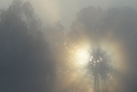 Stärkung für persönlichen Trauerweg - Trauer-Frühstück -