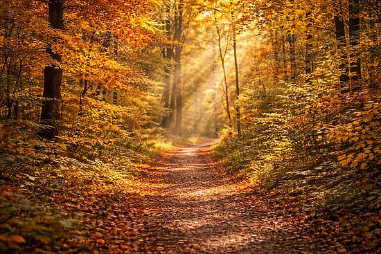 Unterwegs auf dem Franziskus-Besinnungsweg