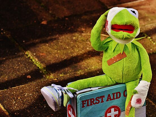 Angsthase oder Lebensretter? - Crashkurs Kindernotfälle für Großeltern