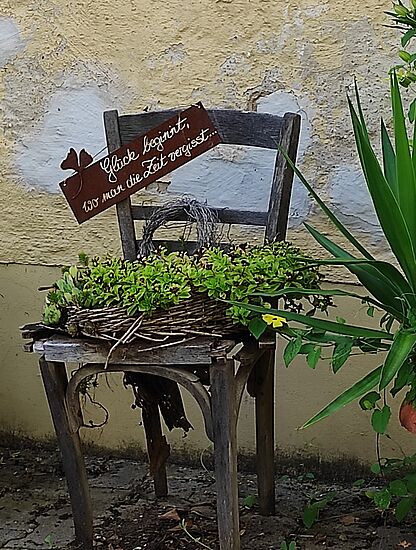 "Pack die Lebensfreude aus"