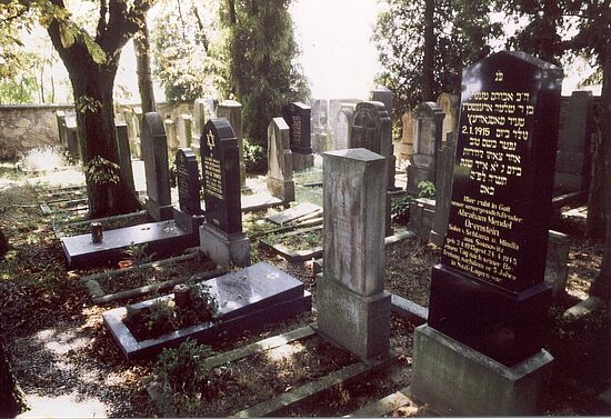 Im Garten des Lebens -