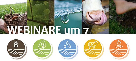 Webinare um 7