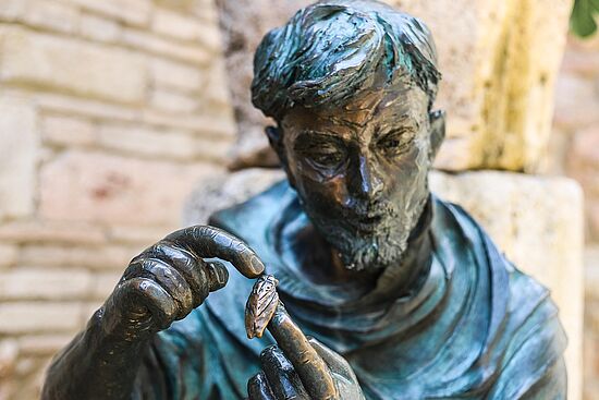 Franziskus von Assisi im Kontext seiner Zeit
