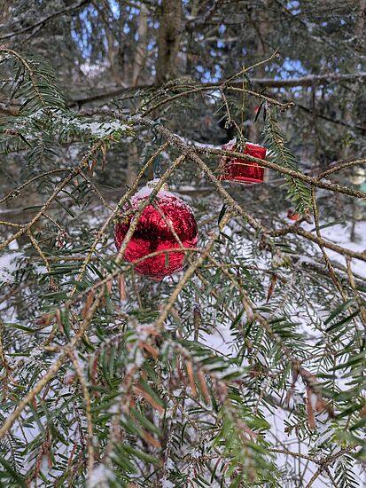 Aufbruch in die staade Zeit!!!!
Veranstaltung ausgebucht - keine Anmeldung mehr möglich!!!