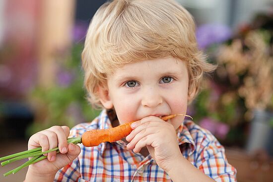 Kalk in Theorie und PraxisGesundheitliche Risiken durch hochverarbeitete Lebensmittel