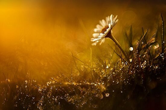 Entfällt: Durchatmen statt untergehen