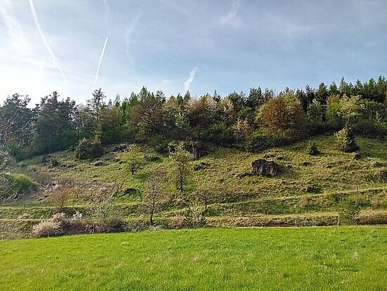 Mit dem Ranger unterwegs - Frühlingserwachen auf dem Jurasteig