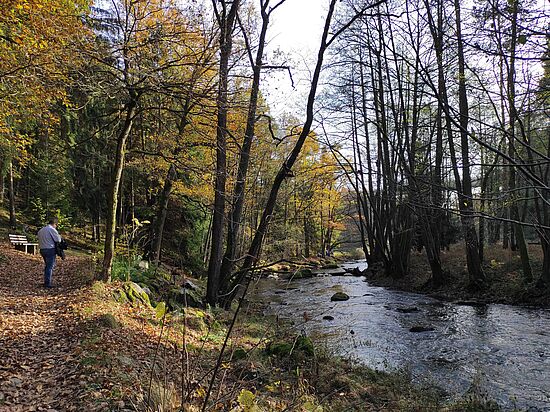 Achtsamkeit, Kreativität und Alltag